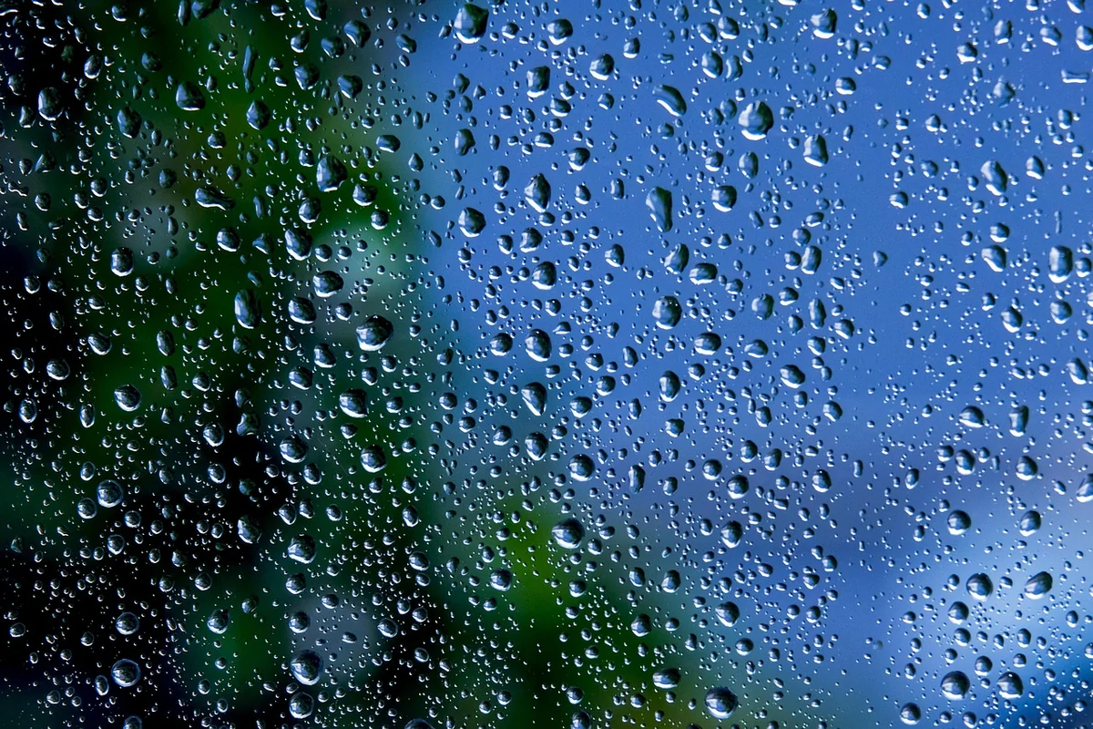 Installer un système de récupération d'eau de pluie : guide complet 2026